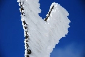 【奈良交通】    霧氷バスの運行について