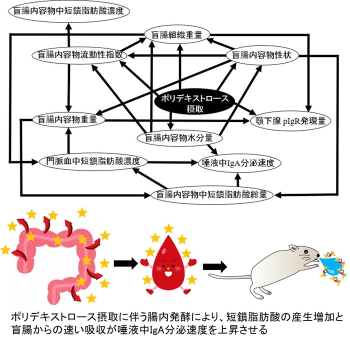 図:2