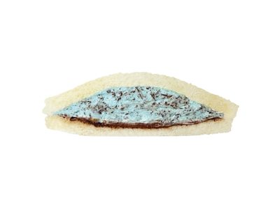 チョコミント