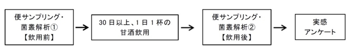 実験の流れ