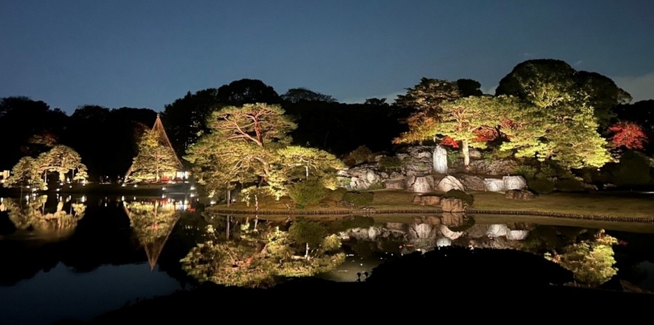 「庭紅葉の六義園」ライトアップ（昨年の様子）