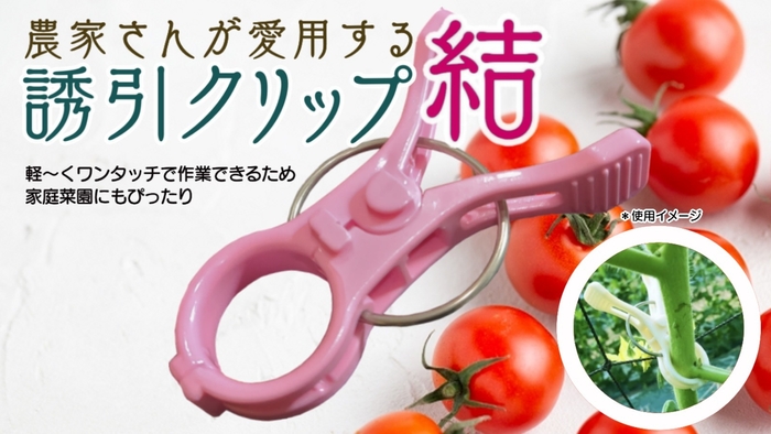 プロジェクト メイン画像