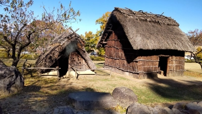 土偶、埴輪のヘアメイクから縄文、弥生、古墳時代を考察　 国際文化学園の美容考古学研究所の「美容再現」