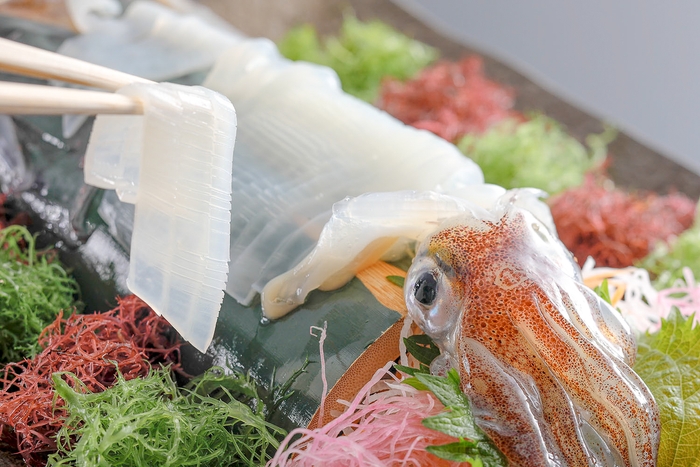 【夕食・初夏】白イカの姿造り［一例］