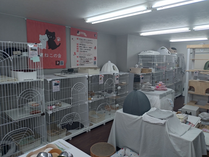 江東ねこの会「もんにゃか」施設内イメージ