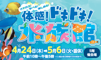 体感！ドキドキ！水族館