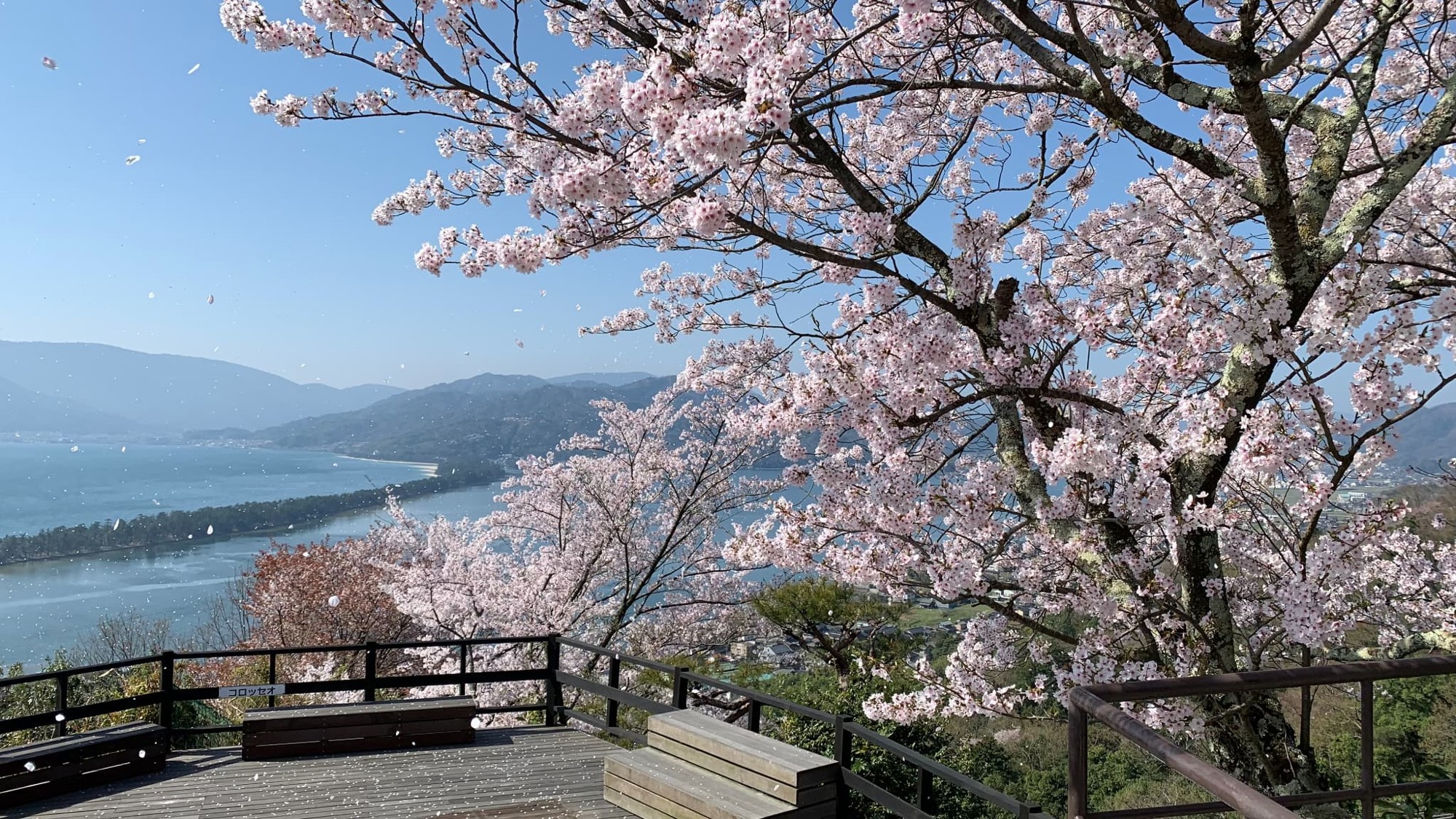 宮津市商工観光課 提供