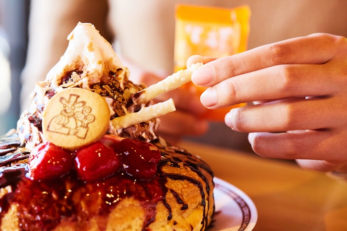 ショコラノワール&小枝(3)