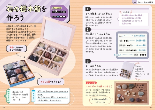 4章 石をもっと楽しむ自由研究　石の標本箱を作ろう