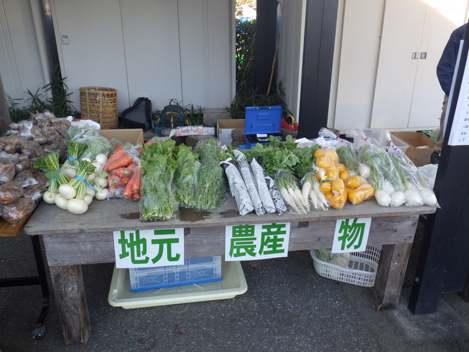 採りたて野菜は味の深みが違います