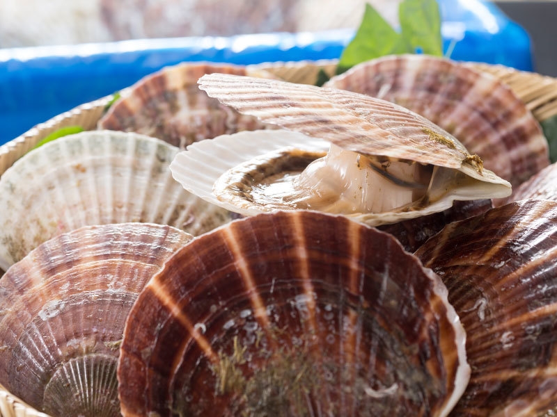 休暇村賞 陸中宮古 三陸産活き帆立