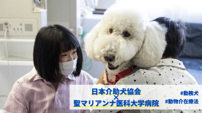 勤務犬モリス