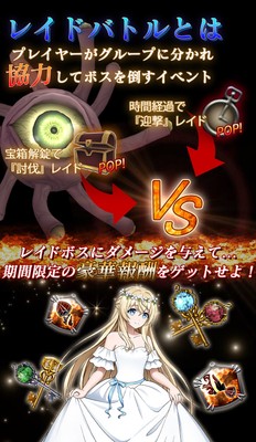 レイド説明
