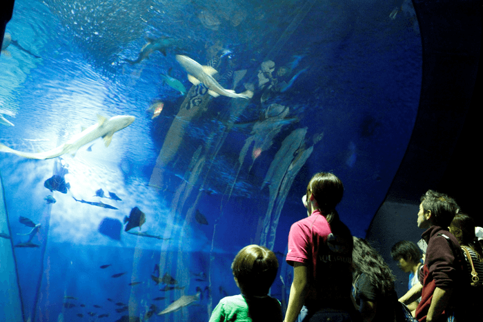 プレミアムナイトツアー　※イメージ写真です