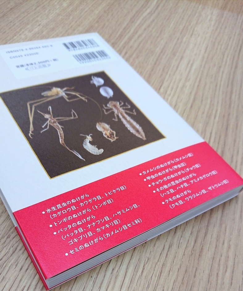 さまざまな種類のぬけがらを多数掲載