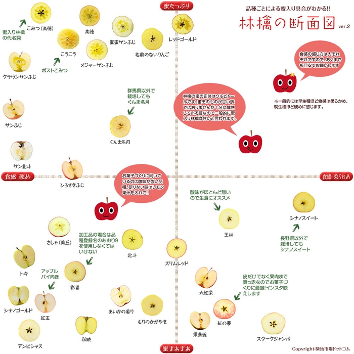 りんごの断面図イメージ