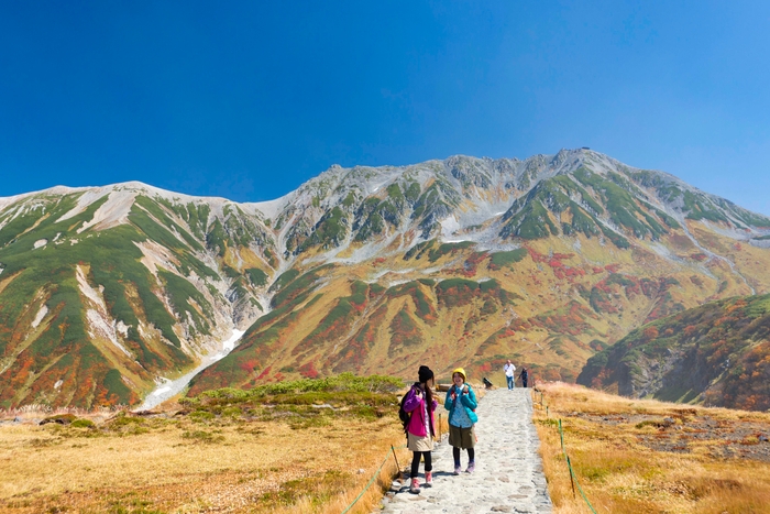 美しい紅葉の中散策ができる室堂エリア