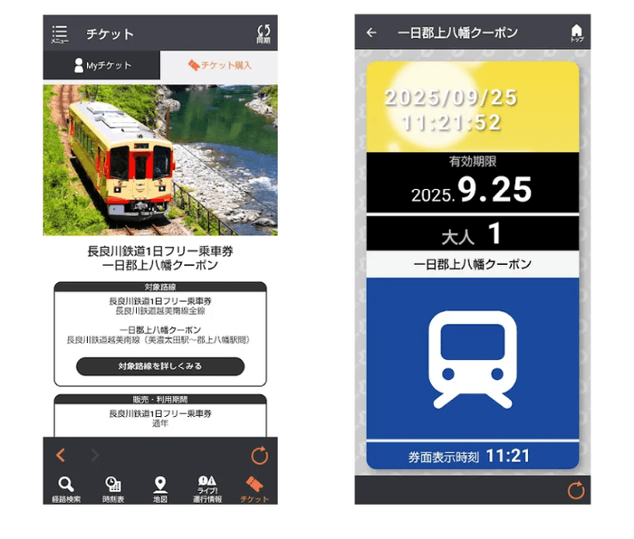 「一日郡上八幡クーポン」券面