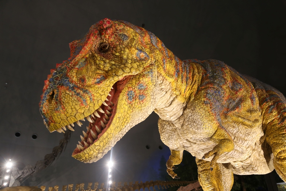 ※福井県立恐竜博物館