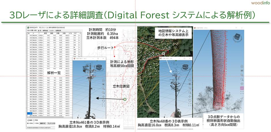 ハンディレーザによる樹木解析システム_Digital Forestの解析例