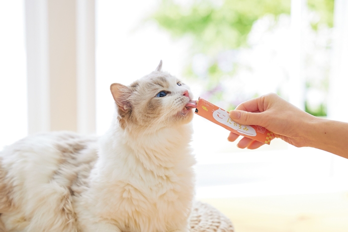 味へのこだわりが強い猫の健康を願い、美味しくて安全なサーモンを。