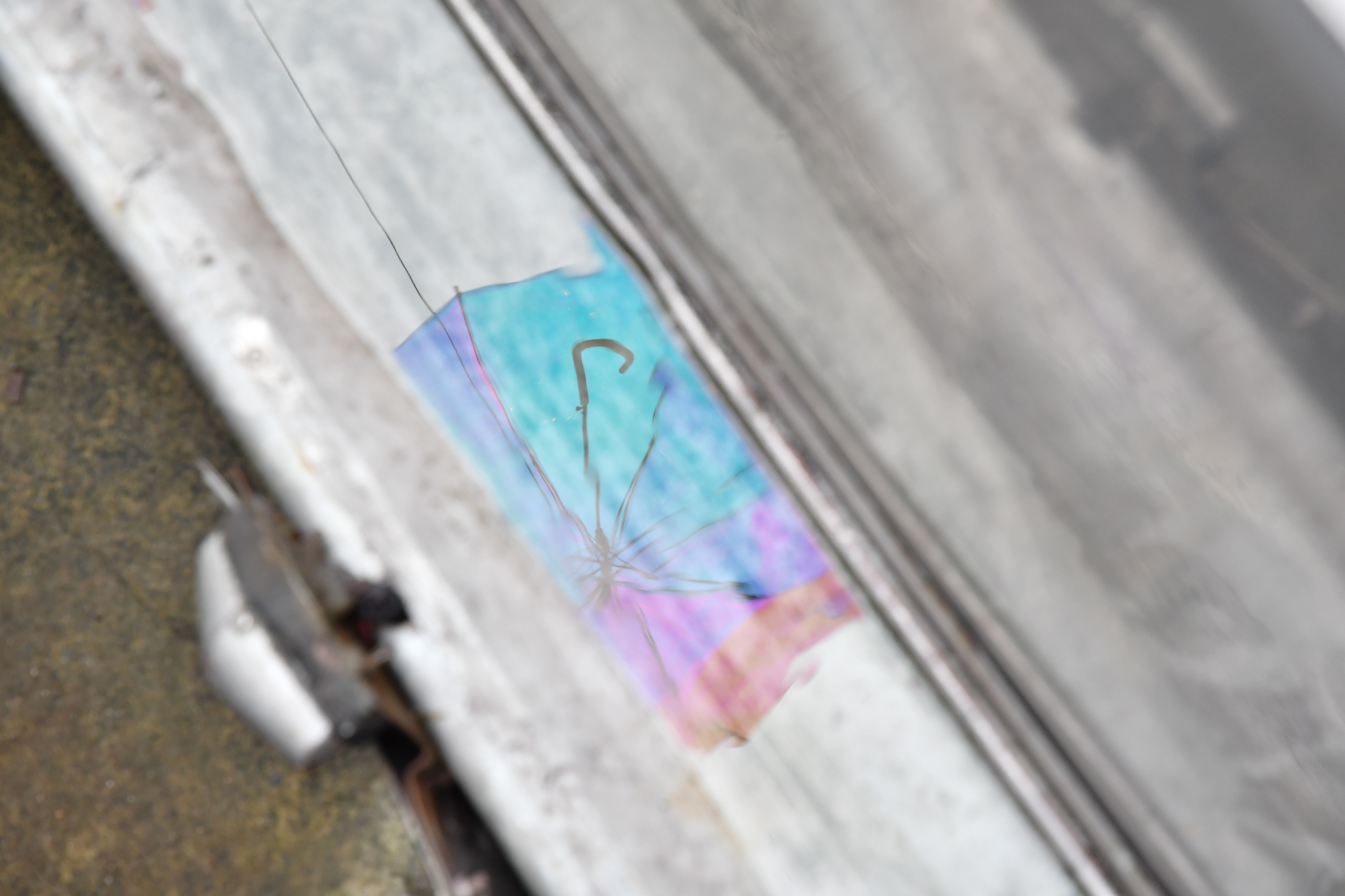 オーロラに映える影　Wpc.™の見るたびに表情が変わるオーロラビニール傘