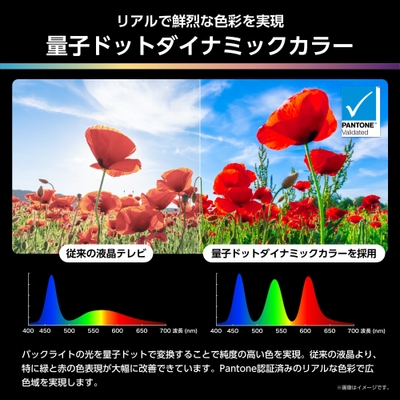 量子ドットダイナミックカラー