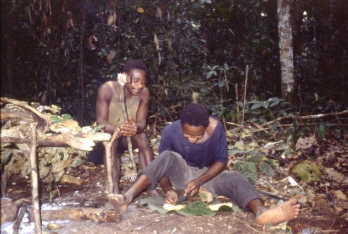 〈「ピグミー」の方々の生活の様子 ※写真提供は西原智昭氏〉