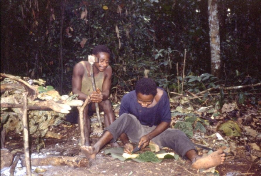 〈「ピグミー」の方々の生活の様子　※写真提供は西原智昭氏〉