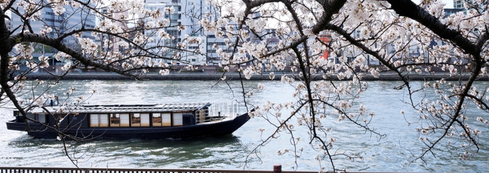 屋形船「鮨 おりがみ」　運航イメージ(4)