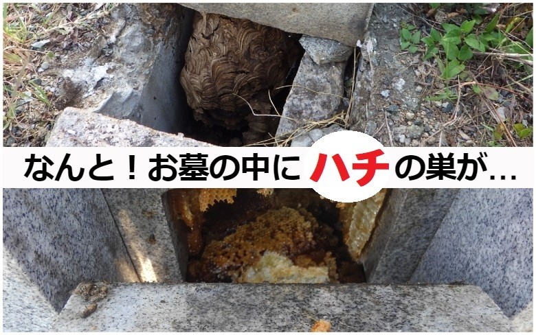 ※参考写真は、池渕石材工業株式会社が施工した特定のお客様のお墓の事例を示すものではありません。