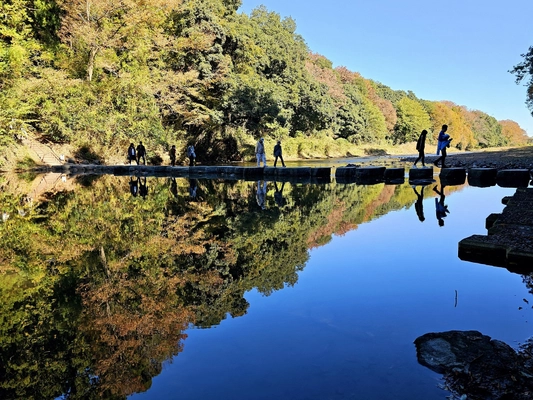 秋の嵐山渓谷の魅力を味わう 『嵐山渓谷紅葉まつり』イベントDayを 嵐山渓谷バーベキュー場で11月29日、30日に開催