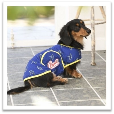 ラクルムウェアエンドレスアンブレラ 使用イメージ