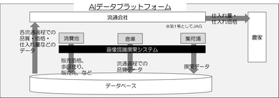 プレミアム果物の海外販路拡大を支援する AIデータプラットフォーム事業を本年6月から開始