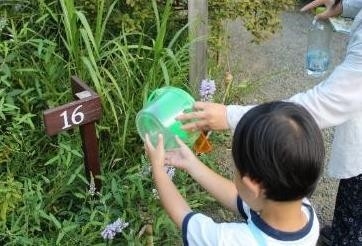 放虫の様子(昨年の様子)
