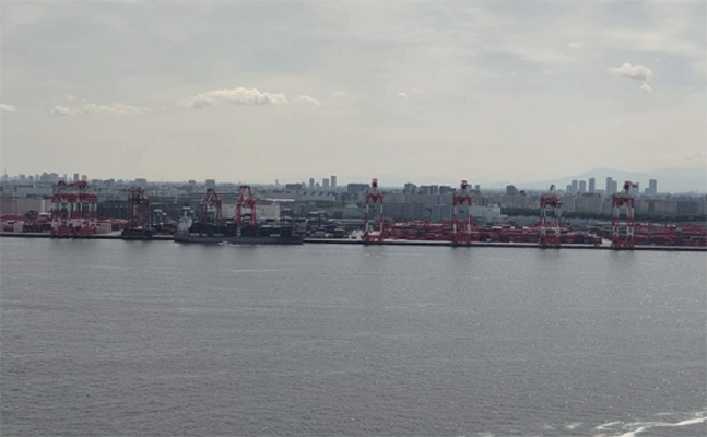 【1.6km先の対岸を等倍で撮影した画像】