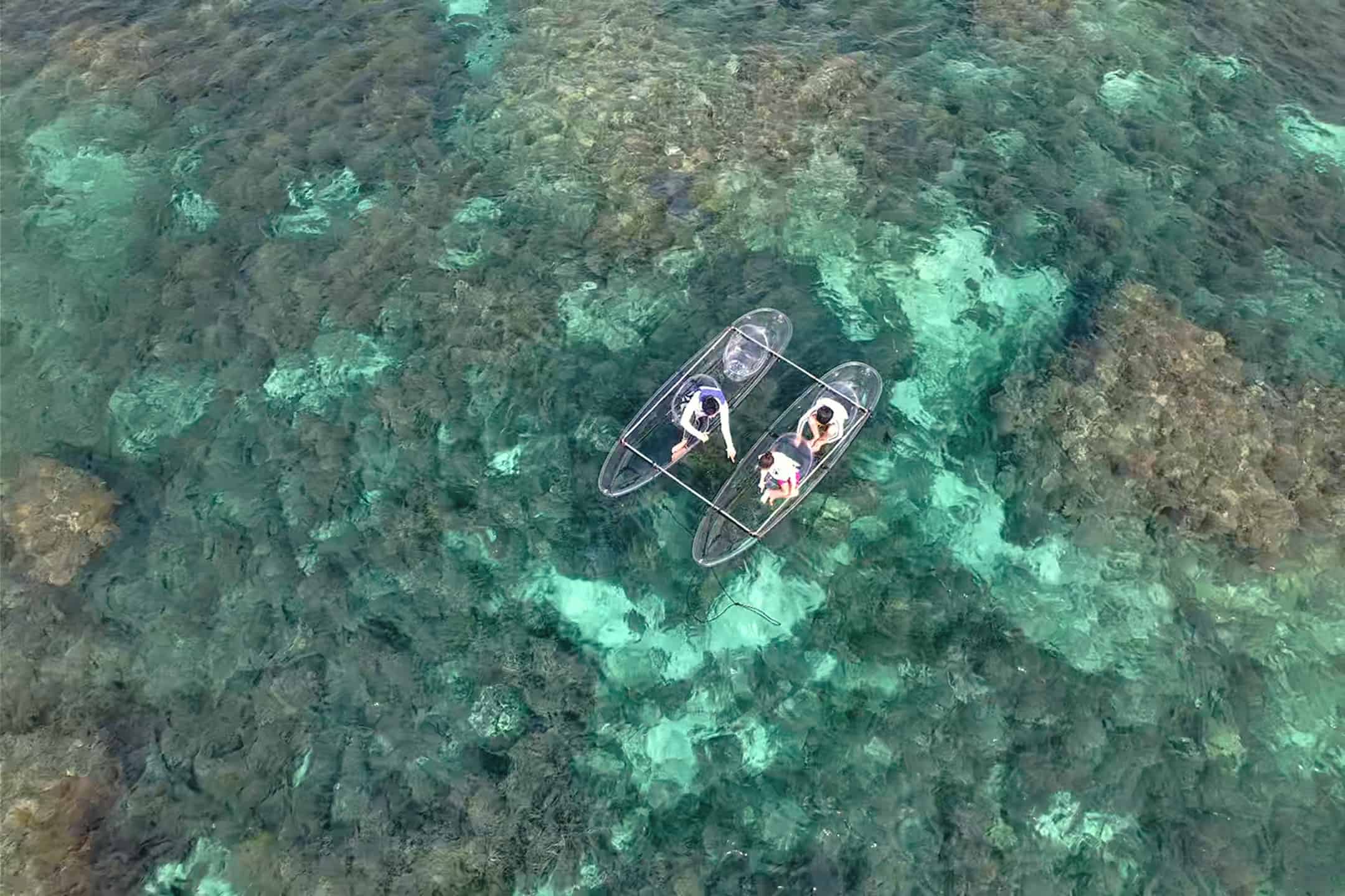 リゾナーレ小浜島】クリアカヤックの船艇から珊瑚の生態系を間近に体感