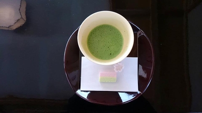 ここちよい春の陽気の中、野点でお愉しみいただきます