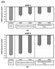 アクアポリンの抑制回復効果(図5)