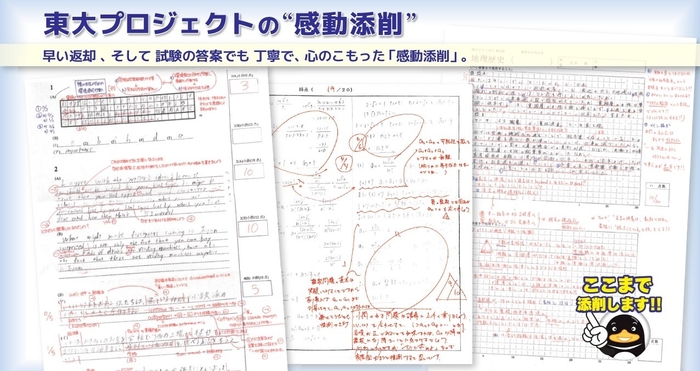 東大プロジェクトにおける手書き添削