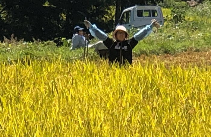 稲刈り始めるぞ~!!