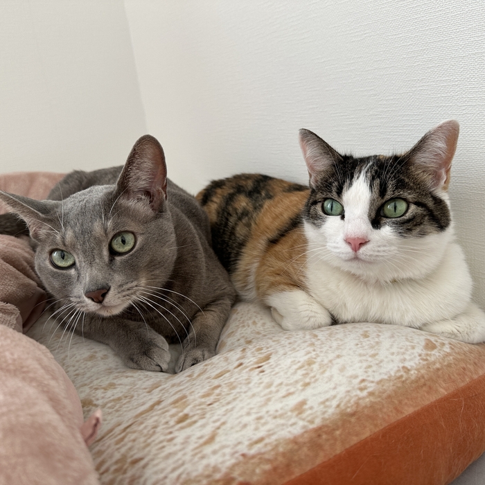 おはぎくん&よもぎちゃん