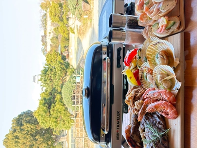 桜の名所・明石公園で、家族や犬とゆったり過ごすBBQ、3月20日から提供開始