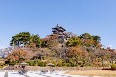 ※丸岡城
