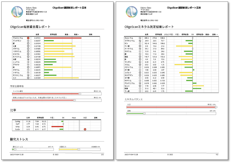 『OligoScan(オリゴスキャン)：体内ミネラル有害金属測定解析システム』測定結果レポート見本
