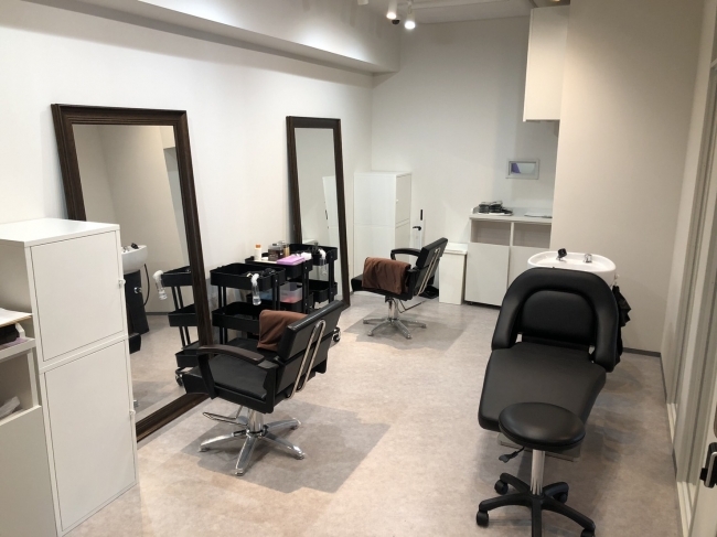 THE SALONS Lab