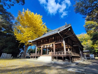 愛媛県・浮嶋神社様にて御守り・御朱印の2026年版予約開始　 神代文字の一種である龍体文字と御守り・御朱印が現代で融合
