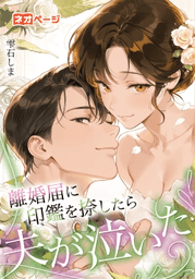 第1回逆転ヒロイン大賞入賞作品　離婚届に印鑑を捺したら夫が泣いた　表紙画像