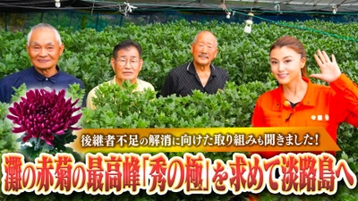 灘の赤菊の最高峰「秀の極」を求めて藤原紀香が淡路島へ！ 灘花卉部会の生産者の皆さんと淡路島の特産品でゆる飲み！