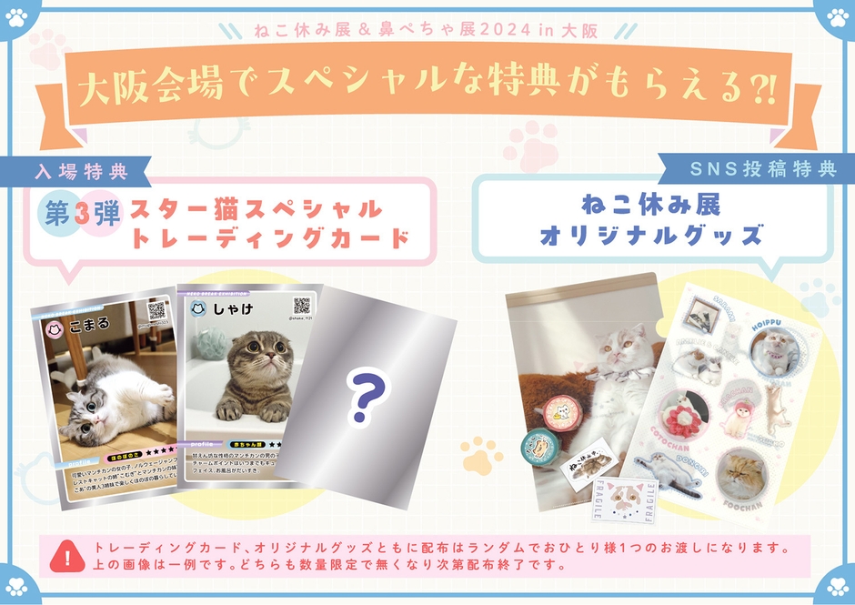 スター猫限定トレカの配布&SNS投稿特典キャンペーン